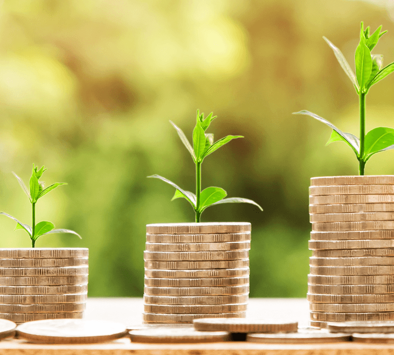 Stacks of coins with small green plants growing on top, symbolizing financial growth and sustainability.